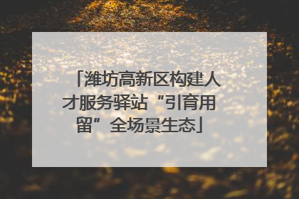 潍坊高新区构建人才服务驿站“引育用留”全场景生态