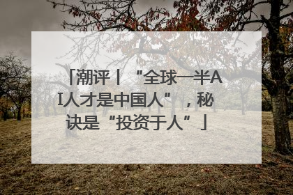 潮评丨“全球一半AI人才是中国人”，秘诀是“投资于人”