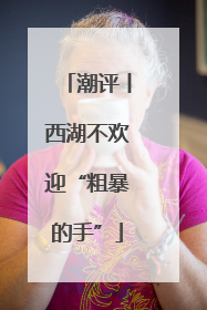 潮评丨西湖不欢迎“粗暴的手”