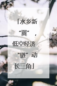 水乡新“翼”，低空经济“链”动长三角