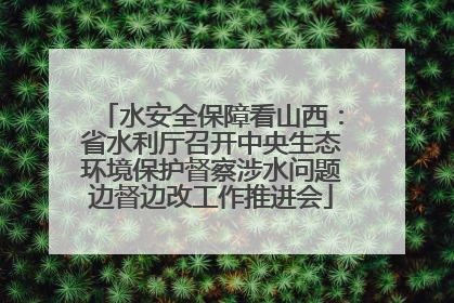 水安全保障看山西：省水利厅召开中央生态环境保护督察涉水问题边督边改工作推进会