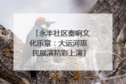 永丰社区奏响文化乐章：大运河惠民展演精彩上演