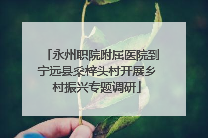 永州职院附属医院到宁远县桑梓头村开展乡村振兴专题调研