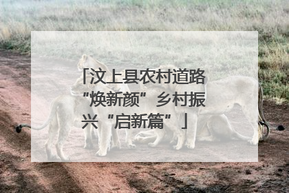 汶上县农村道路“焕新颜”乡村振兴“启新篇”