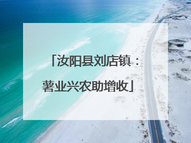 汝阳县刘店镇：薯业兴农助增收