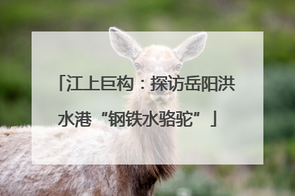江上巨构：探访岳阳洪水港“钢铁水骆驼”
