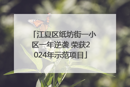江夏区纸坊街一小区一年逆袭 荣获2024年示范项目
