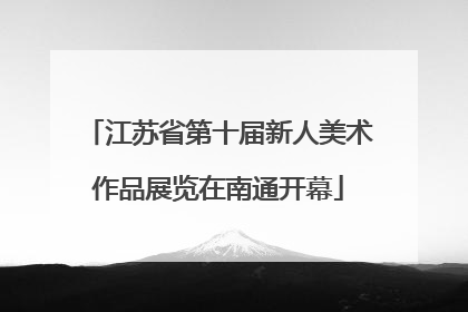 江苏省第十届新人美术作品展览在南通开幕