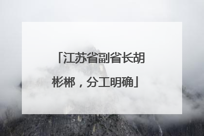 江苏省副省长胡彬郴，分工明确
