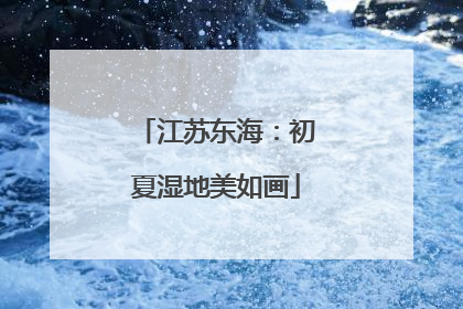 江苏东海：初夏湿地美如画