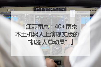 江苏南京：40+南京本土机器人上演现实版的“机器人总动员”