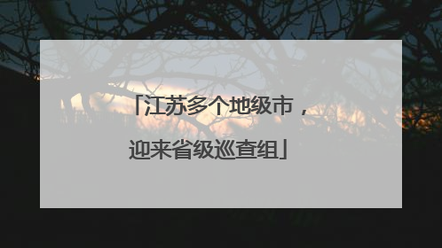 江苏多个地级市，迎来省级巡查组