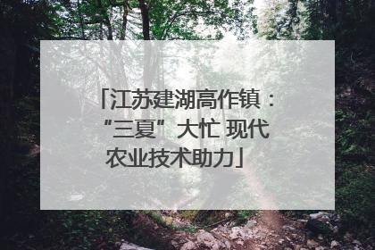 江苏建湖高作镇：“三夏”大忙 现代农业技术助力