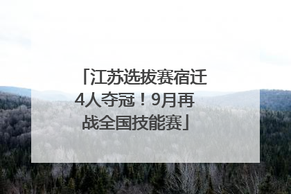 江苏选拔赛宿迁4人夺冠！9月再战全国技能赛