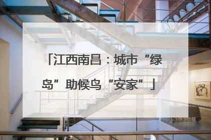 江西南昌：城市“绿岛”助候鸟“安家”