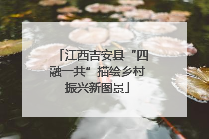 江西吉安县“四融一共”描绘乡村振兴新图景