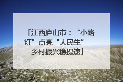江西庐山市：“小路灯”点亮“大民生” 乡村振兴稳提速