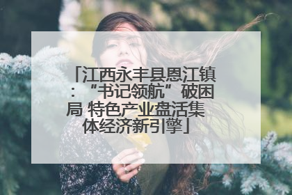 江西永丰县恩江镇：“书记领航”破困局 特色产业盘活集体经济新引擎