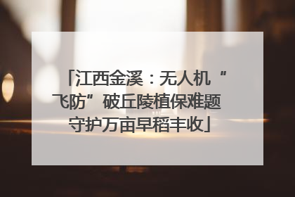 江西金溪：无人机“飞防”破丘陵植保难题 守护万亩早稻丰收
