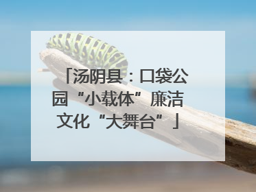 汤阴县：口袋公园“小载体”廉洁文化“大舞台”