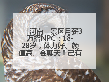 河南一景区月薪3万招NPC：18-28岁，体力好、颜值高、会聊天！已有1000多人应聘