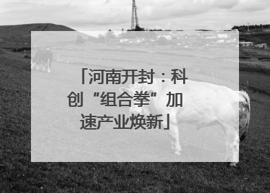 河南开封：科创“组合拳”加速产业焕新