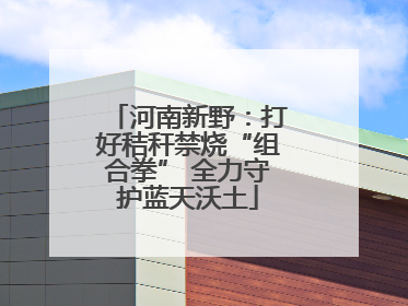 河南新野：打好秸秆禁烧“组合拳” 全力守护蓝天沃土