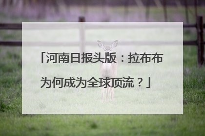 河南日报头版：拉布布为何成为全球顶流？