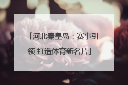 河北秦皇岛：赛事引领 打造体育新名片