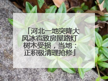 河北一地突降大风冰雹致房屋路灯树木受损，当地：正积极清理抢修