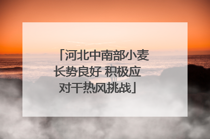 河北中南部小麦长势良好 积极应对干热风挑战
