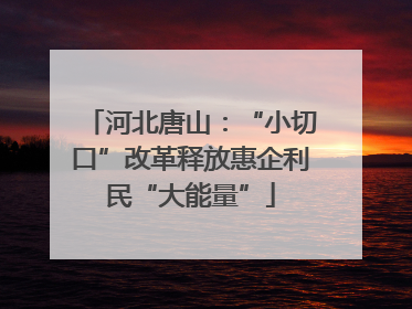河北唐山：“小切口”改革释放惠企利民“大能量”