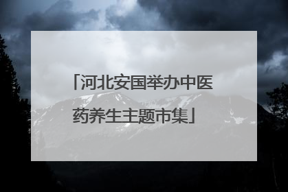 河北安国举办中医药养生主题市集