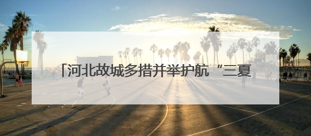 河北故城多措并举护航“三夏”生产 确保夏粮颗粒归仓