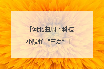 河北曲周：科技小院忙“三夏”
