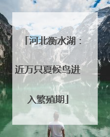 河北衡水湖：近万只夏候鸟进入繁殖期