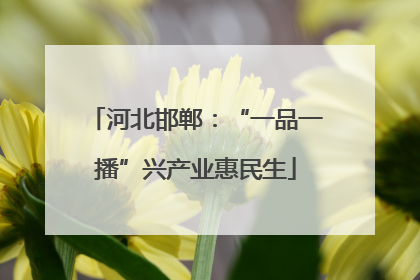 河北邯郸：“一品一播”兴产业惠民生