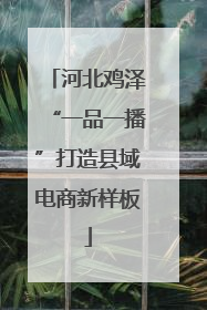 河北鸡泽“一品一播”打造县域电商新样板