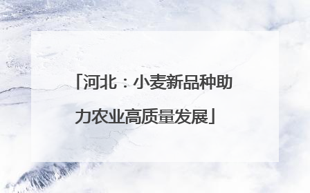 河北：小麦新品种助力农业高质量发展