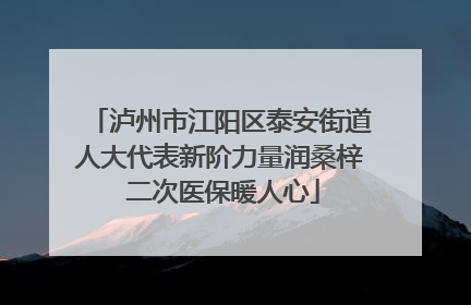 泸州市江阳区泰安街道人大代表新阶力量润桑梓 二次医保暖人心