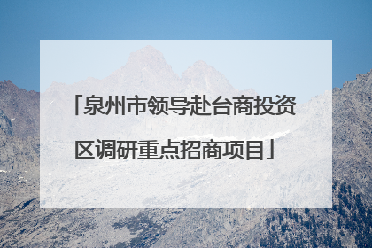 泉州市领导赴台商投资区调研重点招商项目