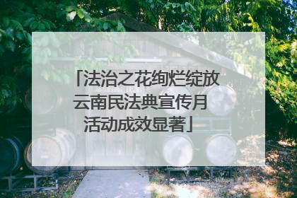 法治之花绚烂绽放 云南民法典宣传月活动成效显著
