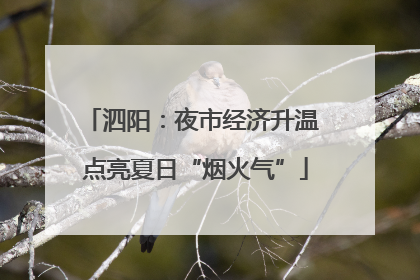 泗阳：夜市经济升温 点亮夏日“烟火气”