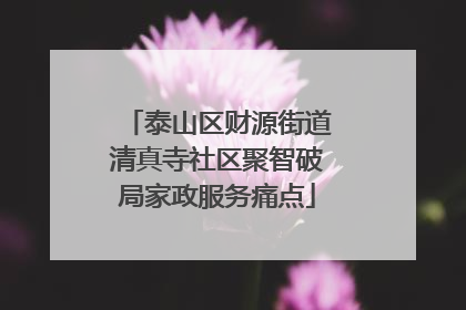 泰山区财源街道清真寺社区聚智破局家政服务痛点
