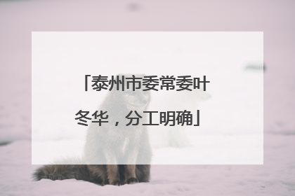 泰州市委常委叶冬华，分工明确