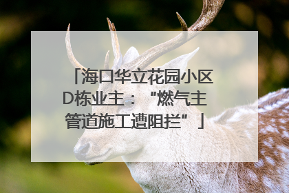 海口华立花园小区D栋业主：“燃气主管道施工遭阻拦”