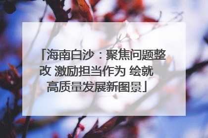 海南白沙：聚焦问题整改 激励担当作为 绘就高质量发展新图景