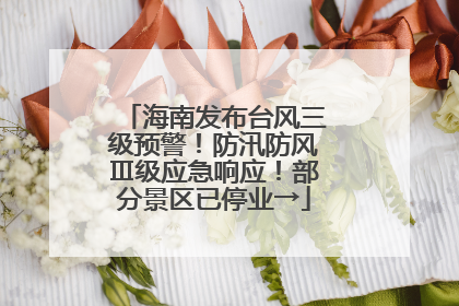 海南发布台风三级预警！防汛防风Ⅲ级应急响应！部分景区已停业→