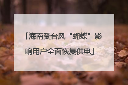 海南受台风“蝴蝶”影响用户全面恢复供电