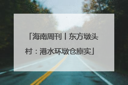 海南周刊丨东方墩头村：港水环墩仓廪实